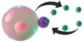 Featured Cytokines for Cell Culture